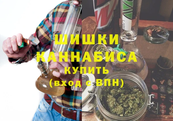 прущие грибы Абинск