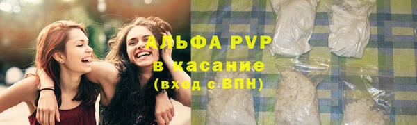 прущие грибы Абинск