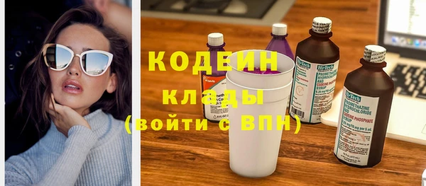 прущие грибы Абинск
