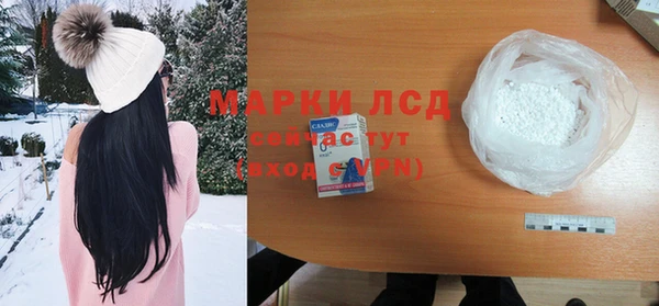 прущие грибы Абинск