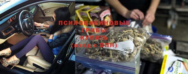 PSILOCYBIN Абдулино