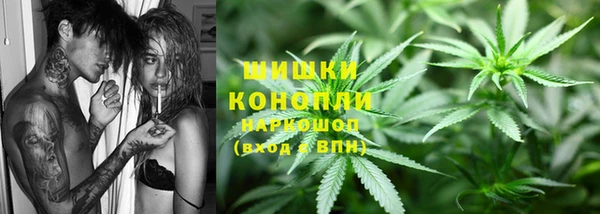 гидра Горно-Алтайск