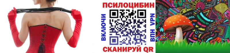 Галлюциногенные грибы Psilocybine cubensis Якутск