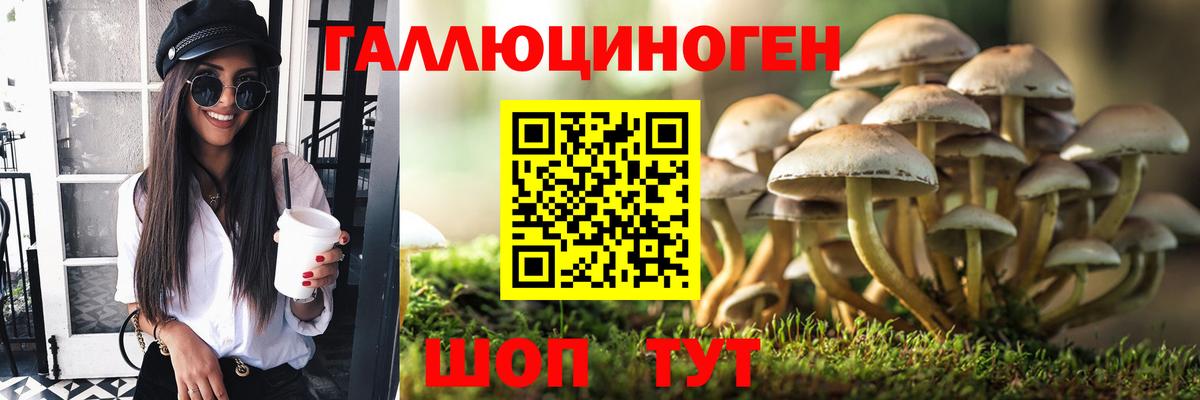 Галлюциногенные грибы прущие грибы  Псилоцибиновые грибы мухоморы  Вход с VPN  Якутск 